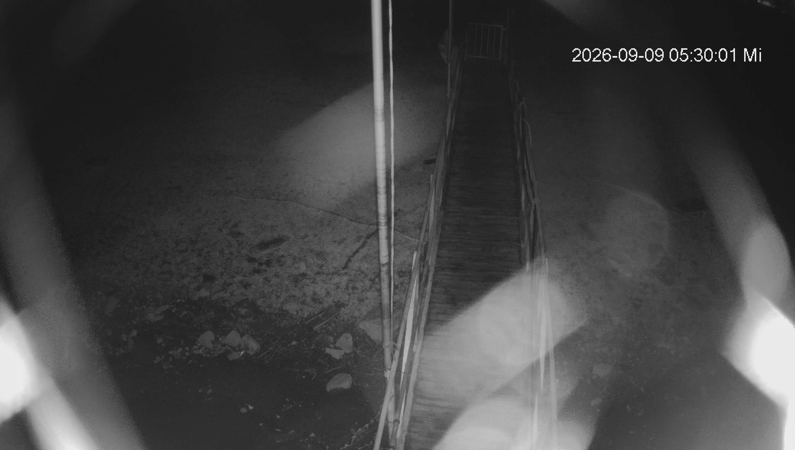 Webcam img missing